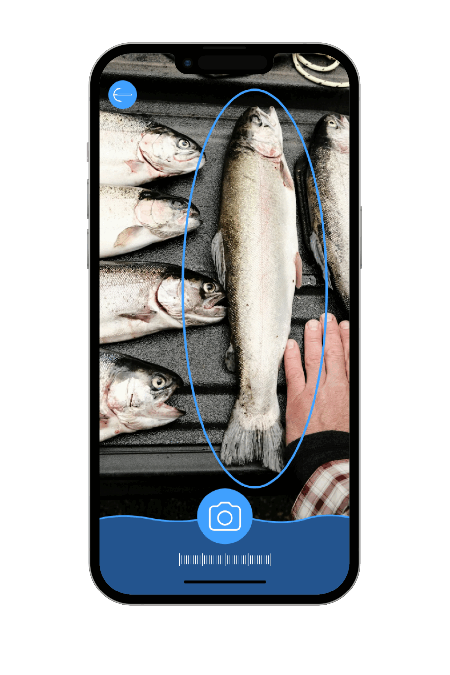 screens mockup-10
